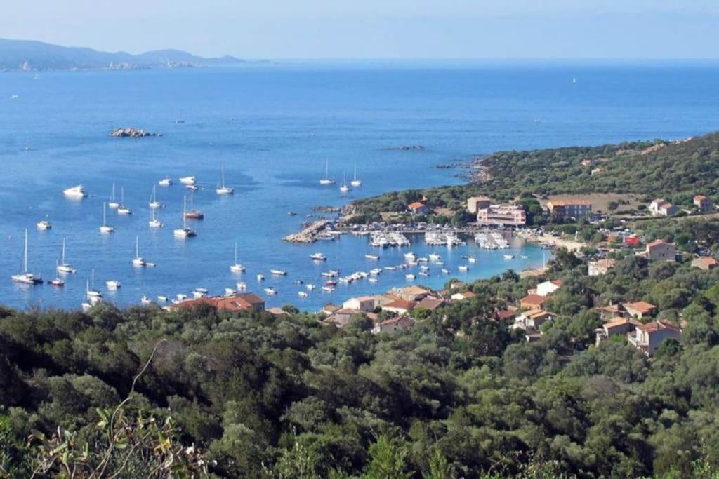 T2 D'Exception 100M Plage Terrasse Vue Mer Et Montagnes Propriano  Exterior foto